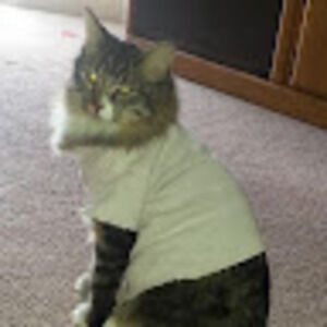 Meet your Posher, I heart gnocchi